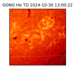 gong - 2024-10-30T13:00:22