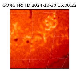 gong - 2024-10-30T15:00:22