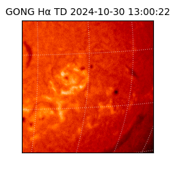 gong - 2024-10-30T13:00:22