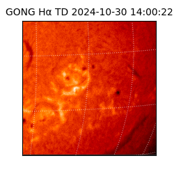 gong - 2024-10-30T14:00:22