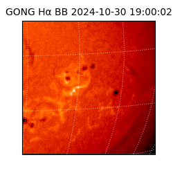 gong - 2024-10-30T19:00:02