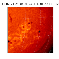 gong - 2024-10-30T22:00:02