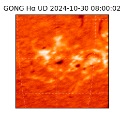 gong - 2024-10-30T08:00:02