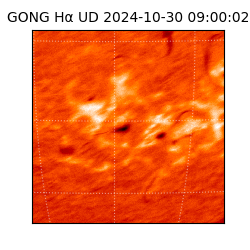 gong - 2024-10-30T09:00:02
