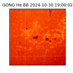 gong - 2024-10-30T19:00:02