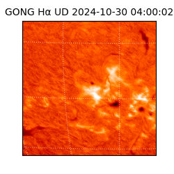 gong - 2024-10-30T04:00:02