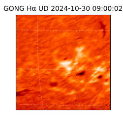 gong - 2024-10-30T09:00:02