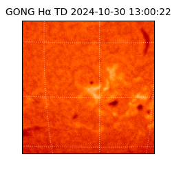 gong - 2024-10-30T13:00:22