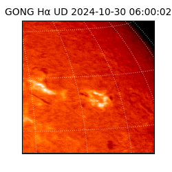 gong - 2024-10-30T06:00:02