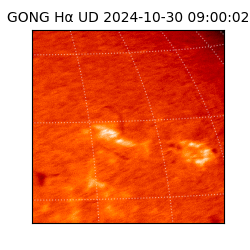 gong - 2024-10-30T09:00:02