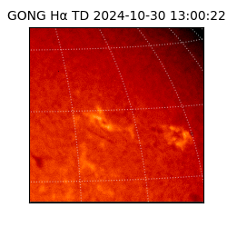 gong - 2024-10-30T13:00:22