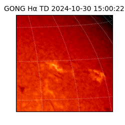 gong - 2024-10-30T15:00:22