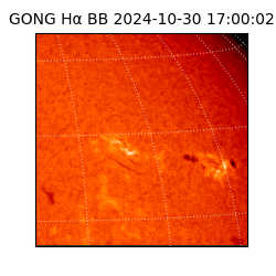 gong - 2024-10-30T17:00:02