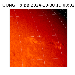 gong - 2024-10-30T19:00:02