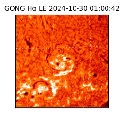 gong - 2024-10-30T01:00:42