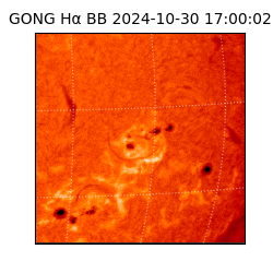 gong - 2024-10-30T17:00:02