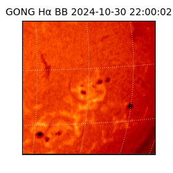 gong - 2024-10-30T22:00:02