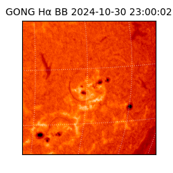 gong - 2024-10-30T23:00:02