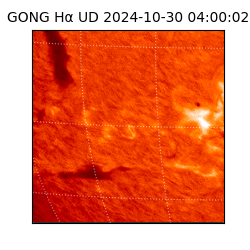 gong - 2024-10-30T04:00:02