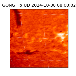 gong - 2024-10-30T08:00:02