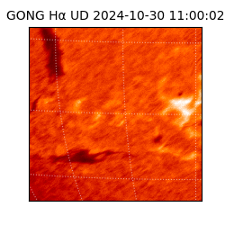 gong - 2024-10-30T11:00:02