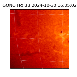 gong - 2024-10-30T16:05:02