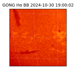 gong - 2024-10-30T19:00:02