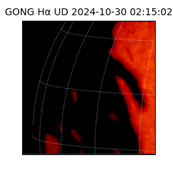 gong - 2024-10-30T02:15:02