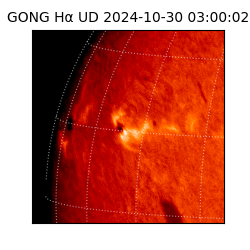 gong - 2024-10-30T03:00:02