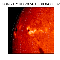 gong - 2024-10-30T04:00:02