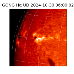 gong - 2024-10-30T06:00:02