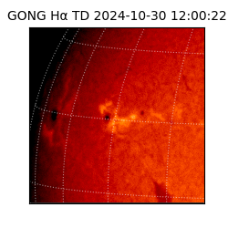 gong - 2024-10-30T12:00:22