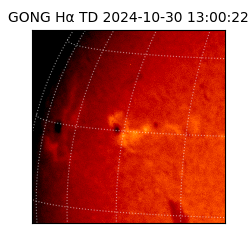 gong - 2024-10-30T13:00:22