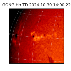 gong - 2024-10-30T14:00:22