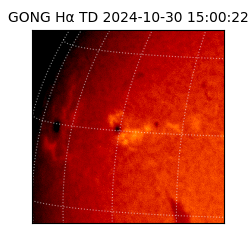 gong - 2024-10-30T15:00:22