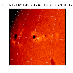 gong - 2024-10-30T17:00:02