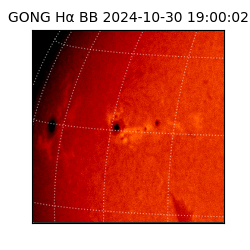 gong - 2024-10-30T19:00:02