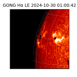 gong - 2024-10-30T01:00:42