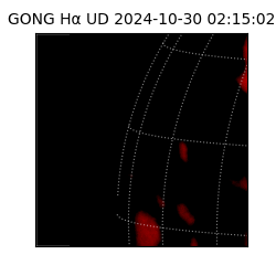 gong - 2024-10-30T02:15:02