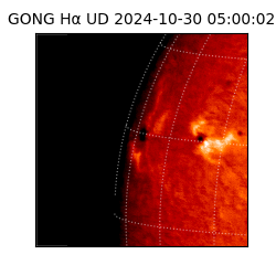 gong - 2024-10-30T05:00:02