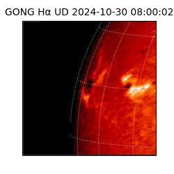 gong - 2024-10-30T08:00:02