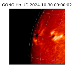 gong - 2024-10-30T09:00:02