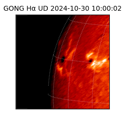 gong - 2024-10-30T10:00:02