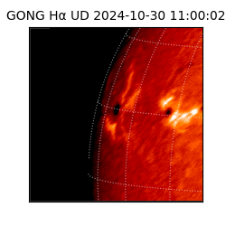 gong - 2024-10-30T11:00:02