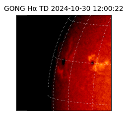 gong - 2024-10-30T12:00:22