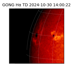 gong - 2024-10-30T14:00:22