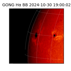 gong - 2024-10-30T19:00:02