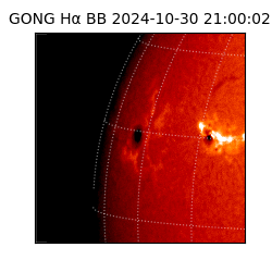 gong - 2024-10-30T21:00:02