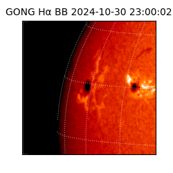 gong - 2024-10-30T23:00:02