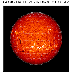 gong - 2024-10-30T01:00:42